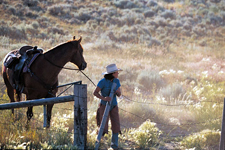 USA-Montana-Voldseth Working Ranch